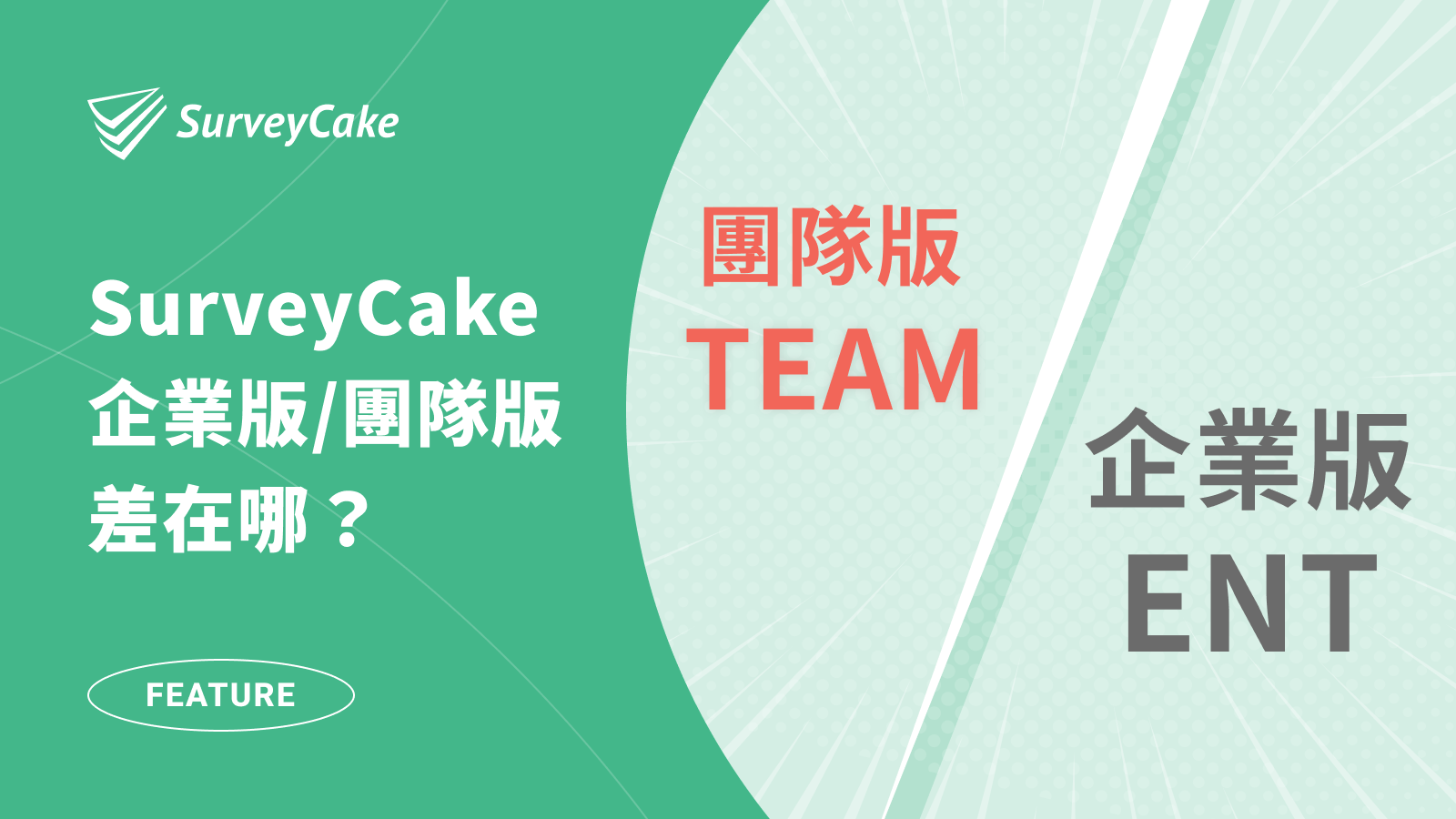 【方案選擇指南】ENT 企業版 vs TEAM 團隊版如何選？方案差異有哪些？