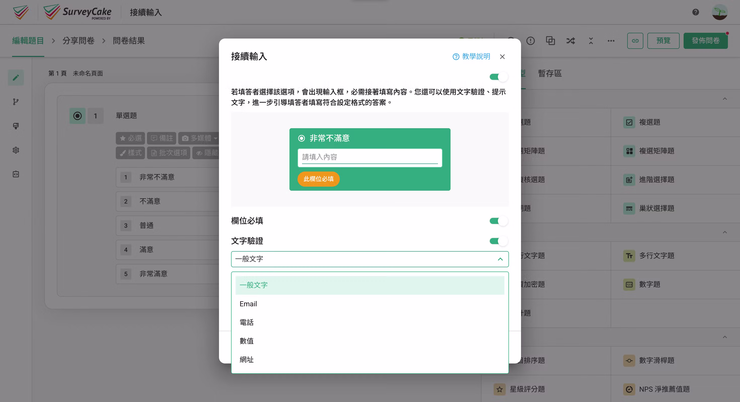 文字驗證選項清單,包含一般文字、Email、電話、數值、網址