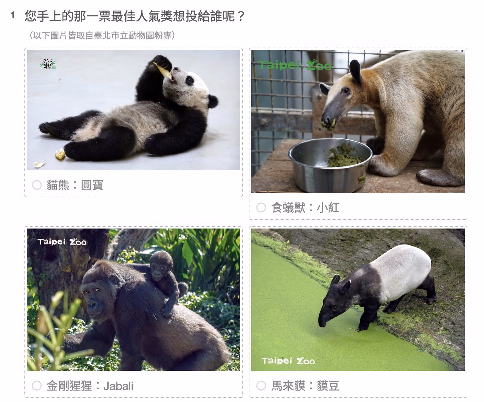 在問卷的選項加上圖片