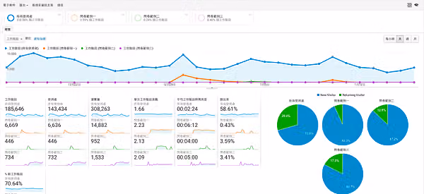 Google Analytics 總覽:工作階段趨勢線、185,646 等指標卡與新舊訪客圓餅圖