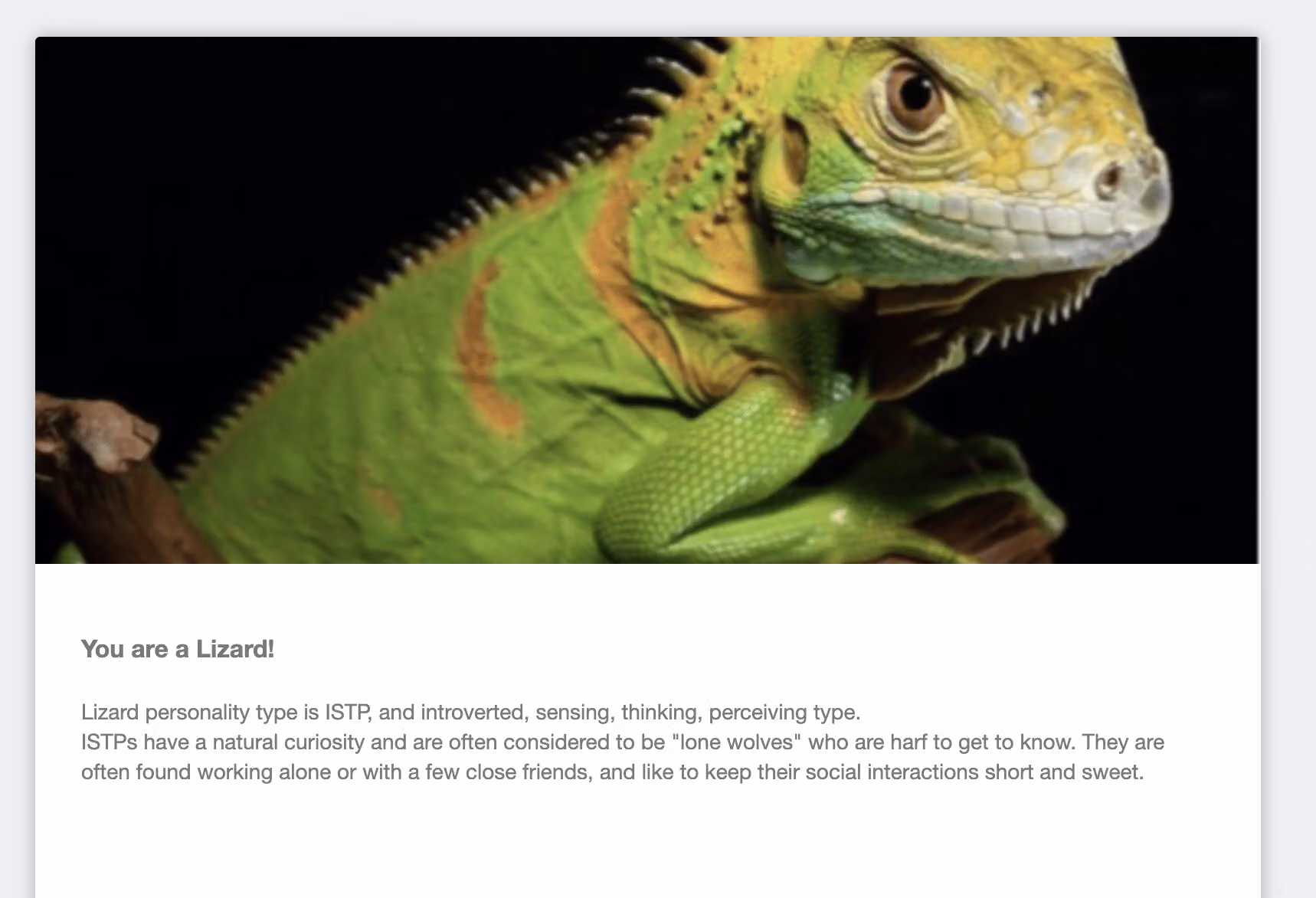 感謝頁範例「You are a Lizard!」,上方為綠鬣蜥照片,下方說明 ISTP 人格特質