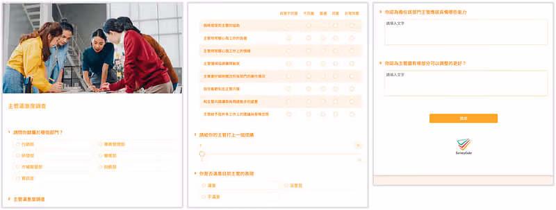 survey-performance-appraisal-8
