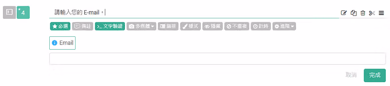 題目「請輸入您的 E-mail。」開啟文字驗證,下方顯示藍色的 Email 驗證標籤