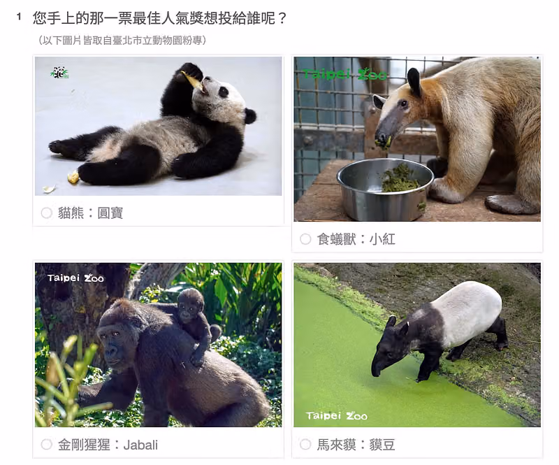 最佳人氣獎投票題,四個附照片選項為貓熊圓寶、食蟻獸小紅、金剛猩猩 Jabali、馬來貘貘豆