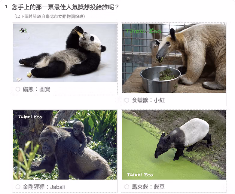 選項中加入圖片