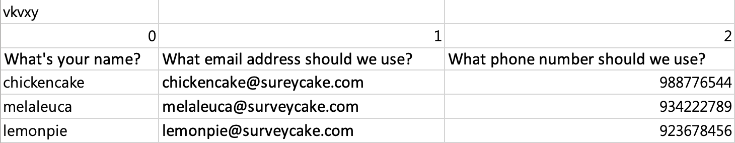 Completed Excel template with respondent data filled into each column