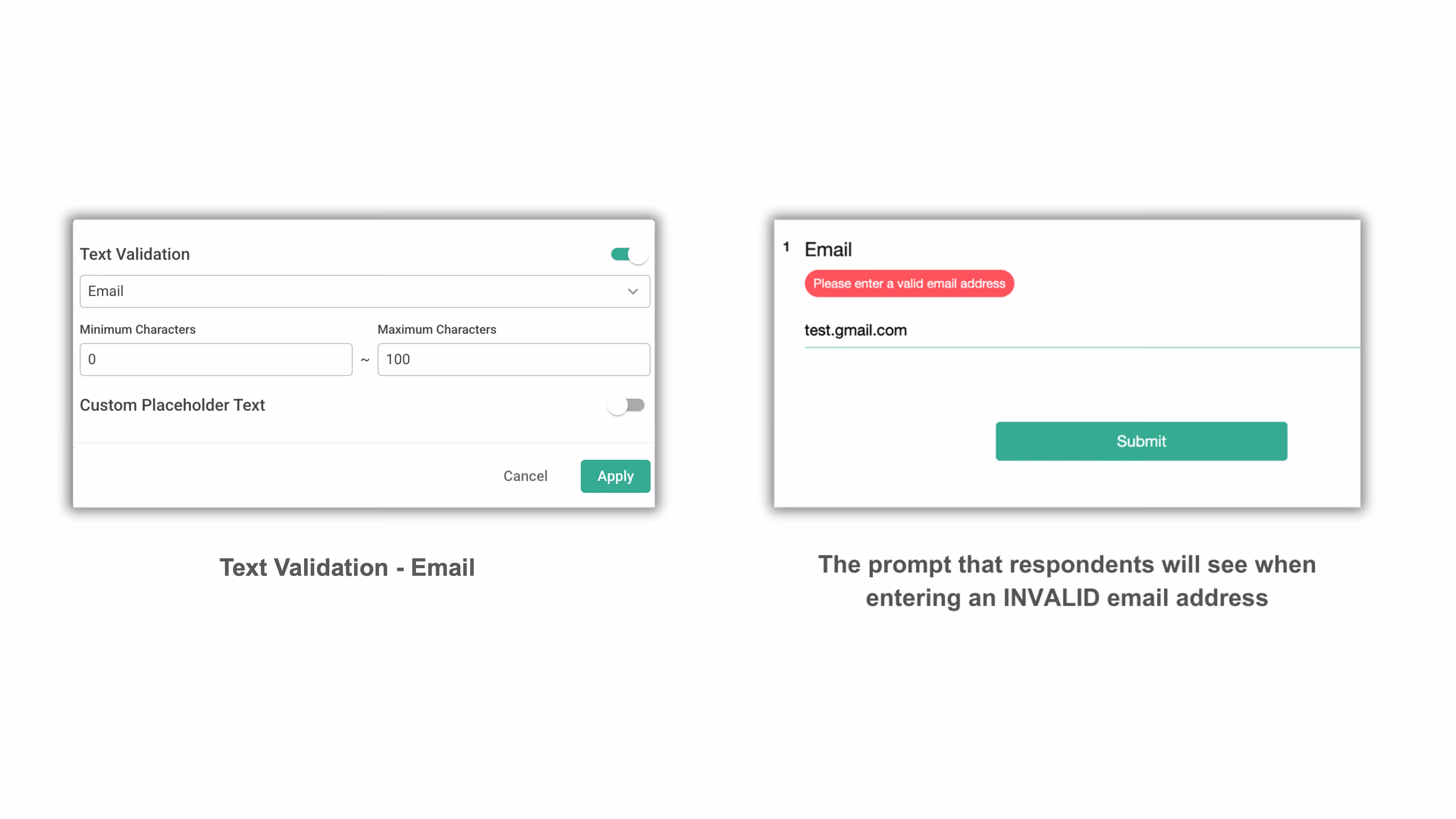Text Validation format setting configured to Email with the default guidance text shown