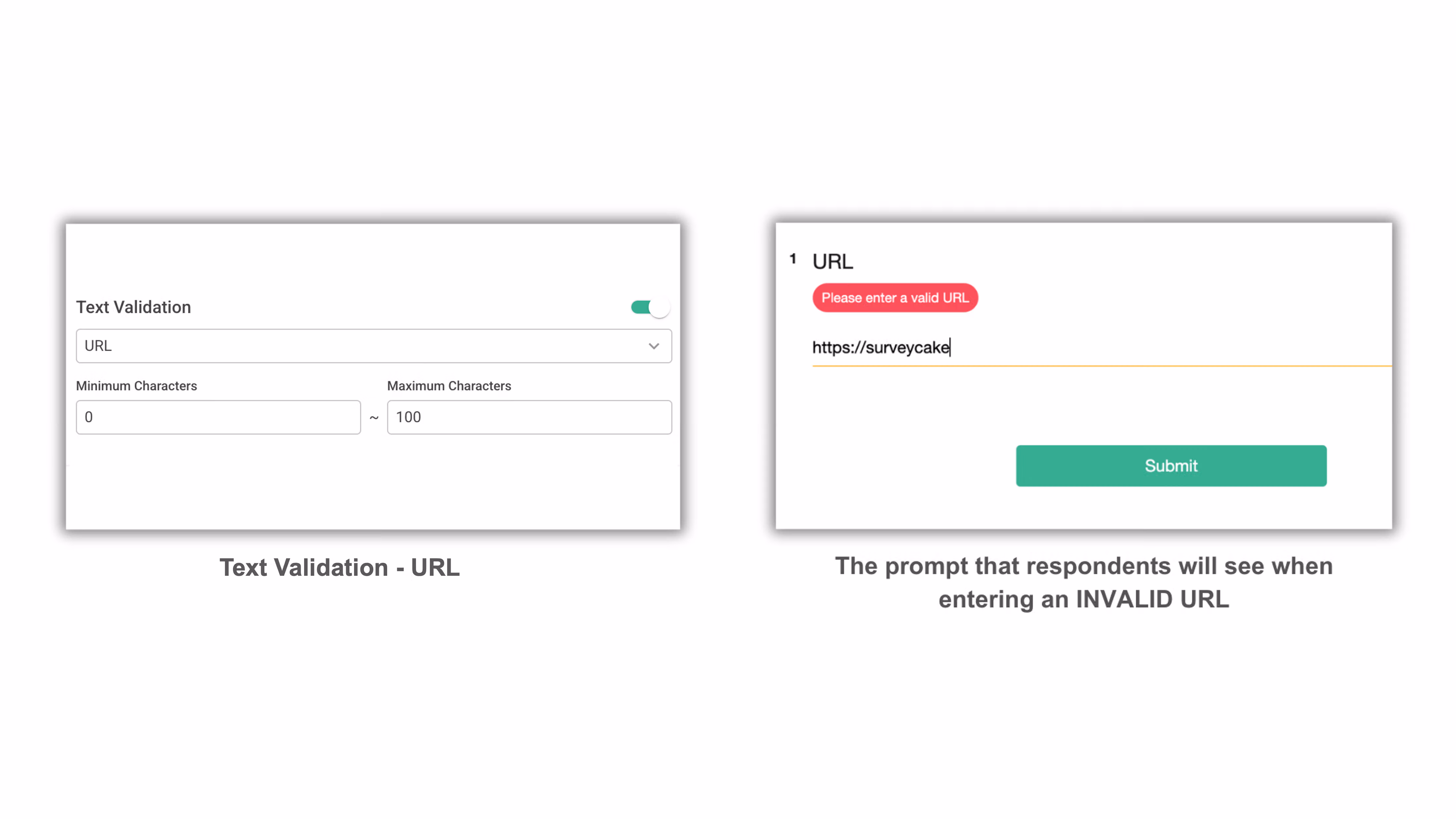 Text Validation format setting configured to URL with the default guidance text shown