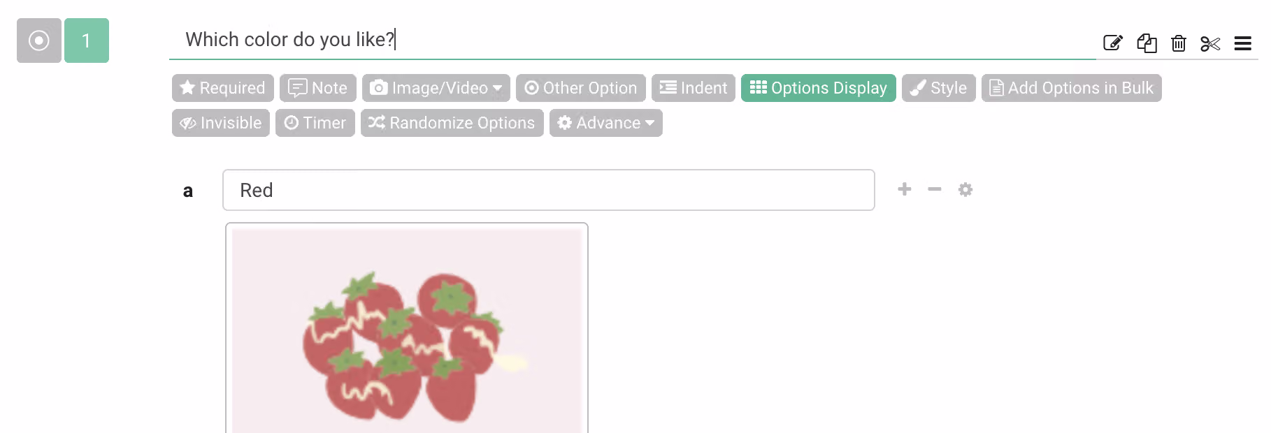 Function menu with Options Display selected after filling in the answer options