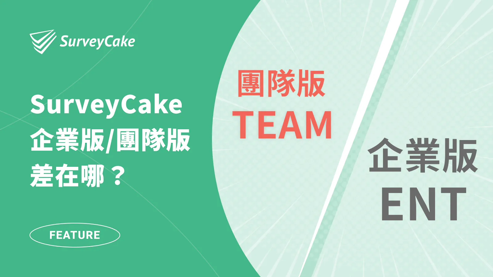 【方案選擇指南】ENT 企業版 vs TEAM 團隊版如何選?方案差異有哪些?