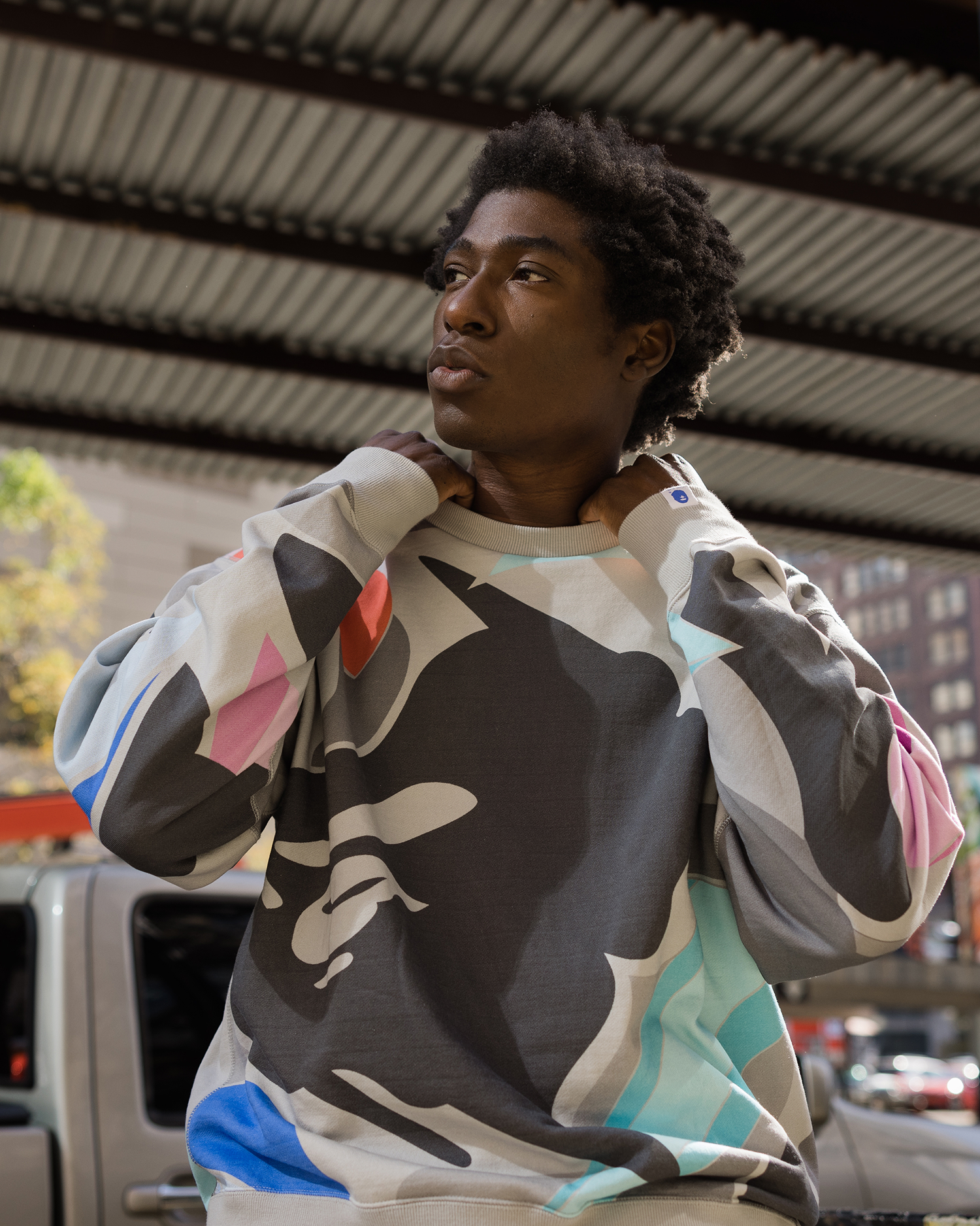 bape x ldg photobook