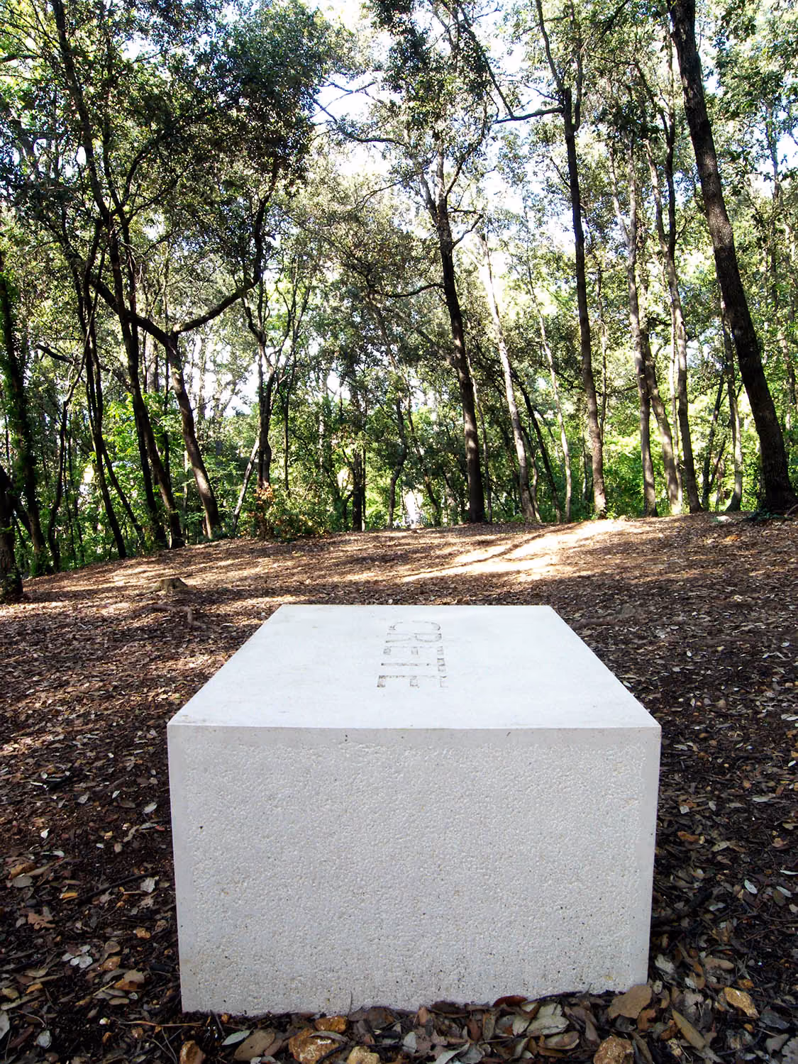 stèle blanche posée au sol dans la forêt du parc du château