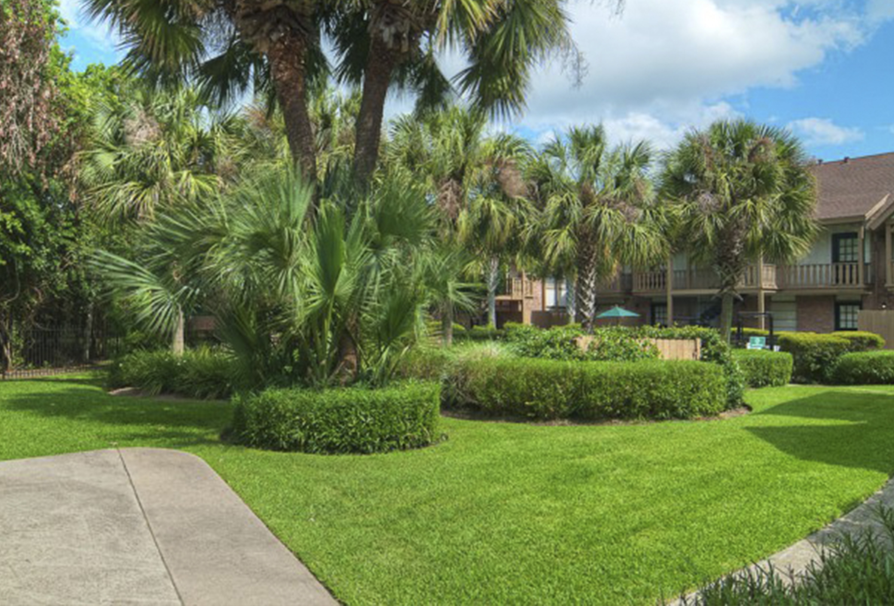 Outside grassy area