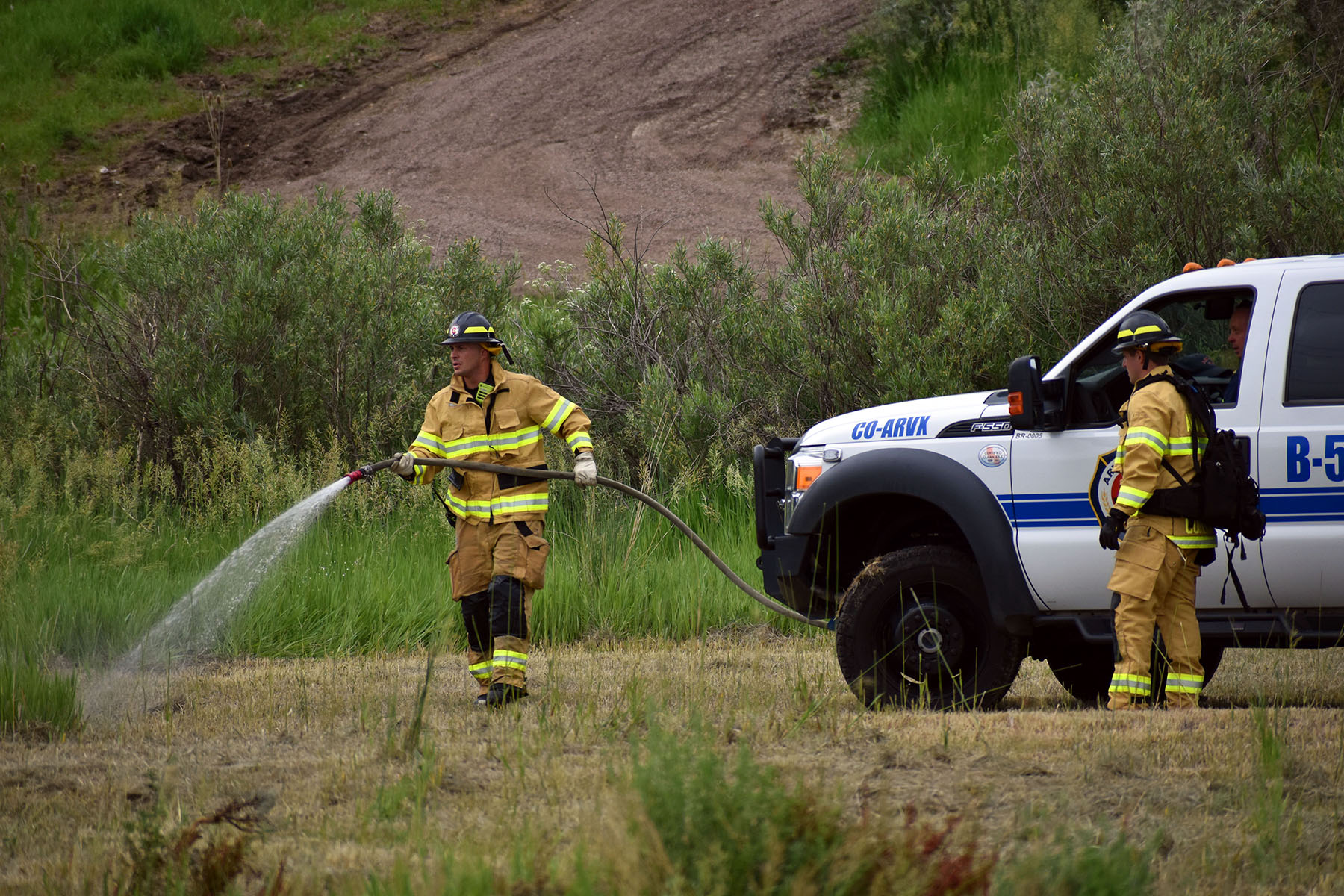 Firefighters spraying water with hose from a fire truck in a grassy field near bushes.