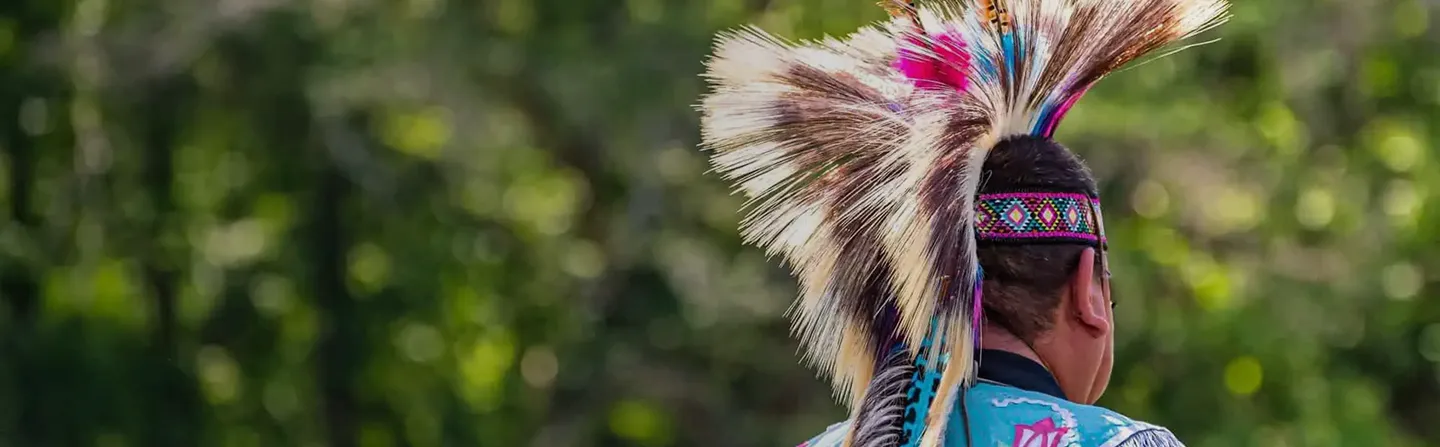 Rear view of a person wearing a colorful Native American feathered headdress and traditional attire.
