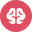White four-leaf clover symbol in a pink rounded square background.