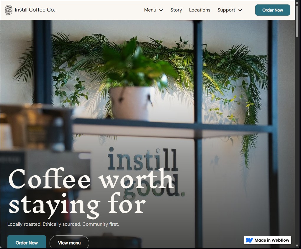 Instill Coffee