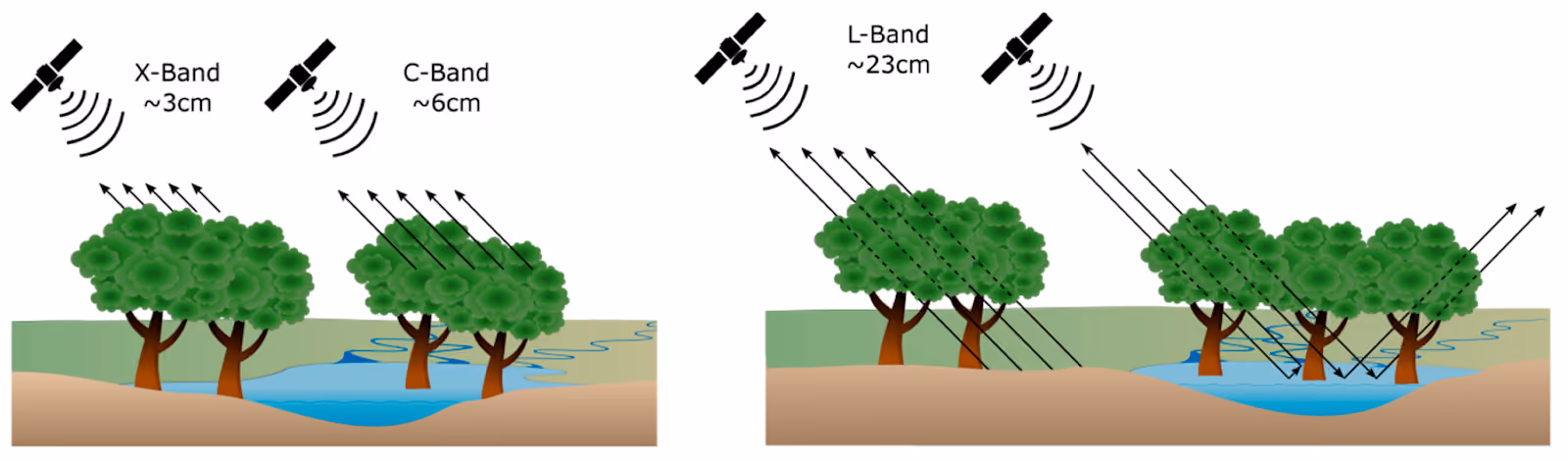 SAR penetration