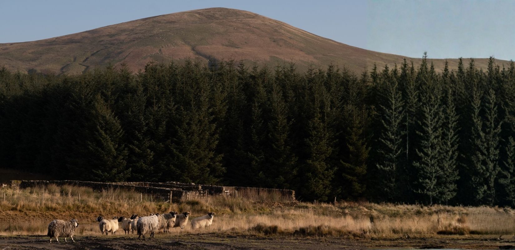 Glemmuckloch site image