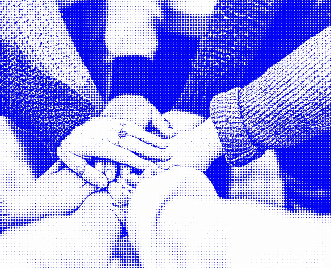 Six diverse hands stacked in solidarity. The image uses a blue halftone effect, conveying unity and cooperation with an energetic tone.