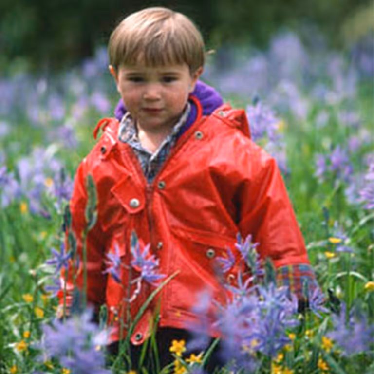 Young Stratton standing in a field of wildflowers in a red rain jacket.