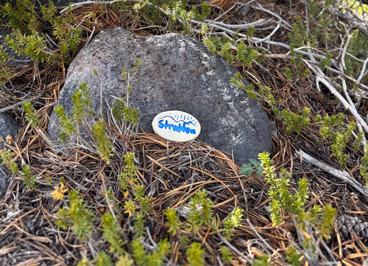 Stratton Stone