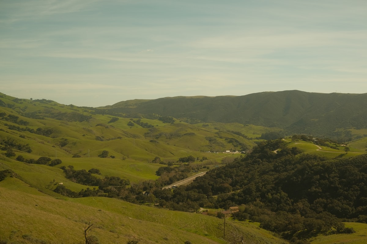 Lush green hillside with a river running through it