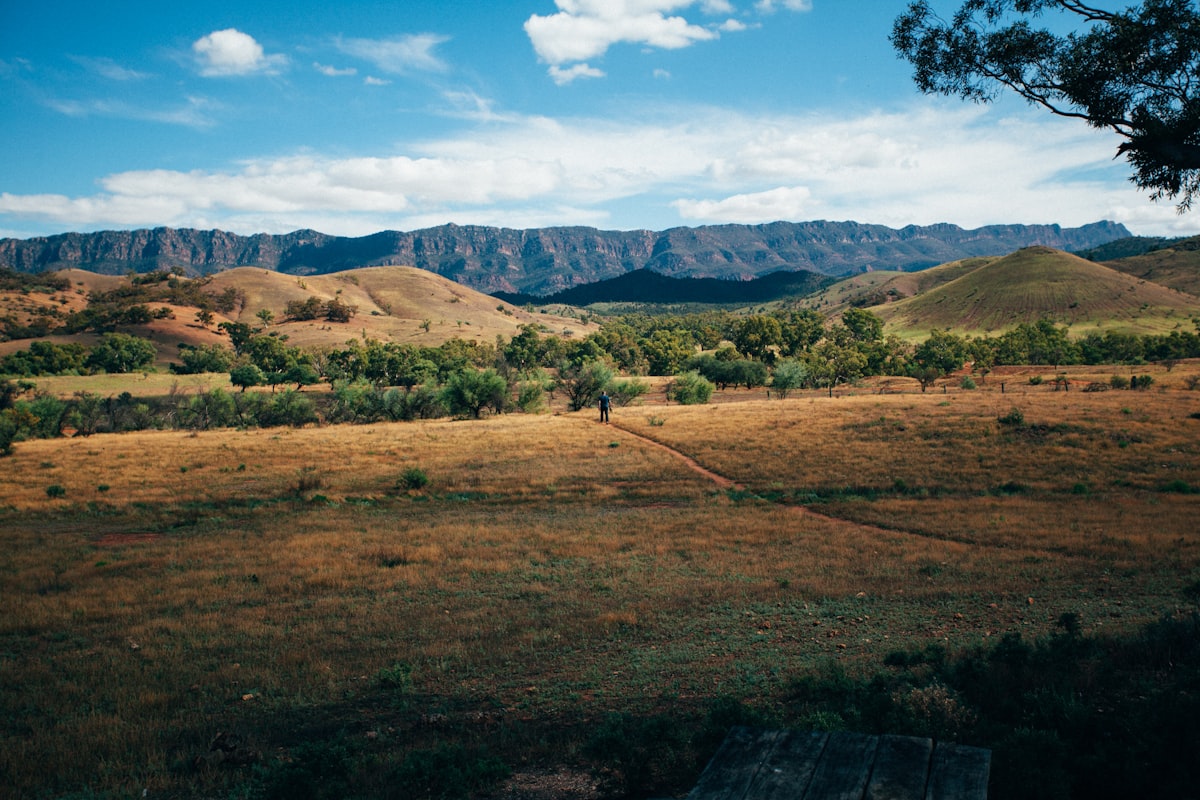 Runner on the remote outback road from Port Augusta to Quorn at the Pichi Richi Marathon SA