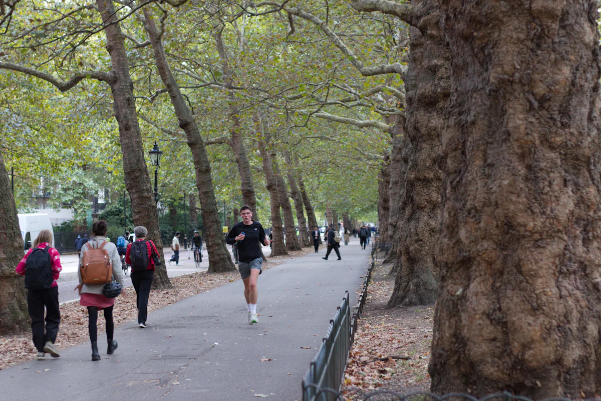 Runners on a tree-lined riverside path at the Cooks River Fun Run