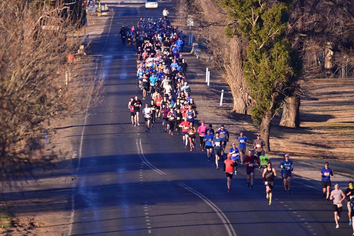 Runners on a country road at the Mudgee Running Festival