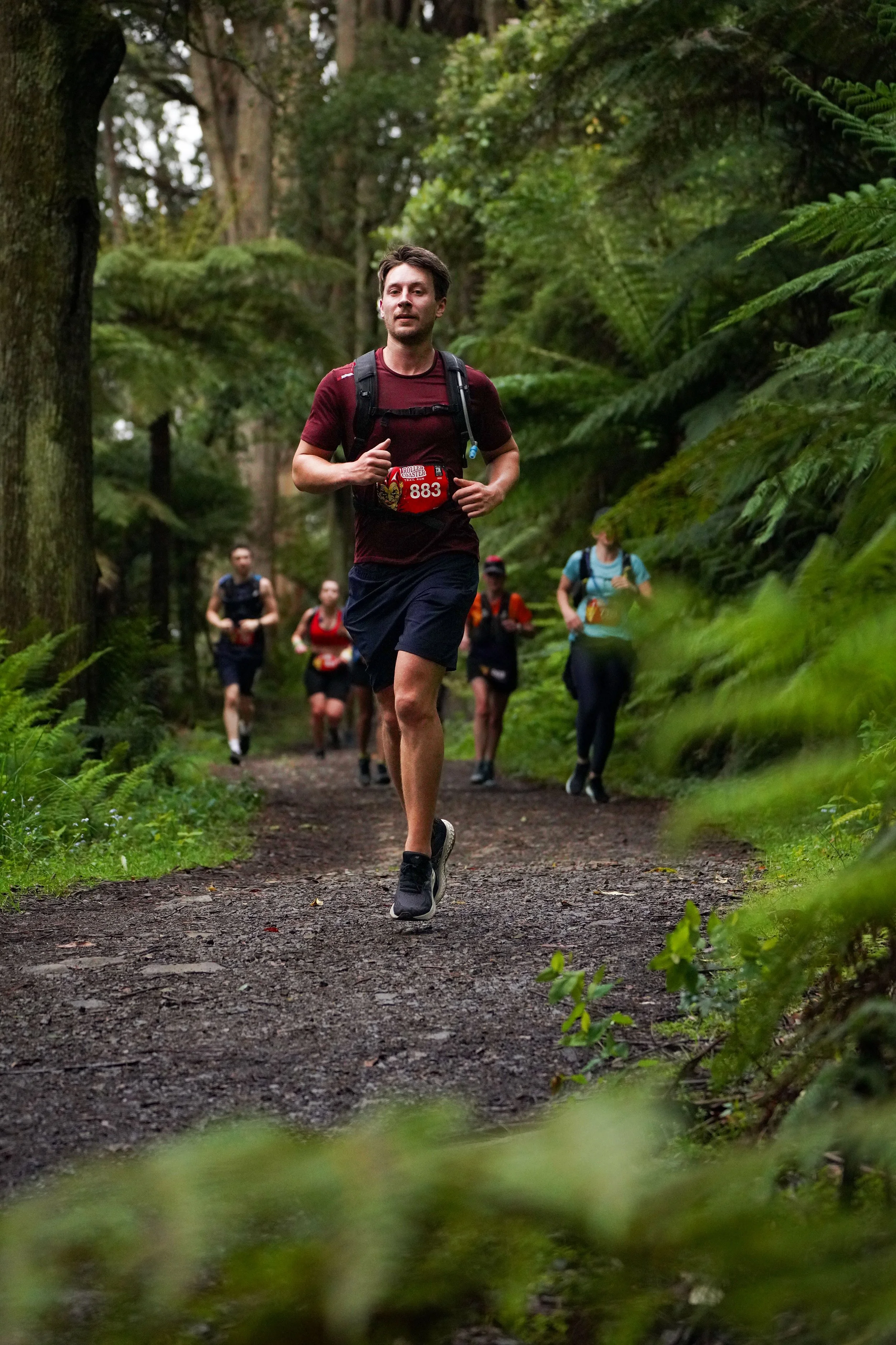 Trail runners in the Dandenong Ranges at the Roller Coaster Run