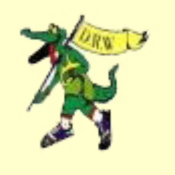 Darwin Runners & Walkers Half Marathon logo