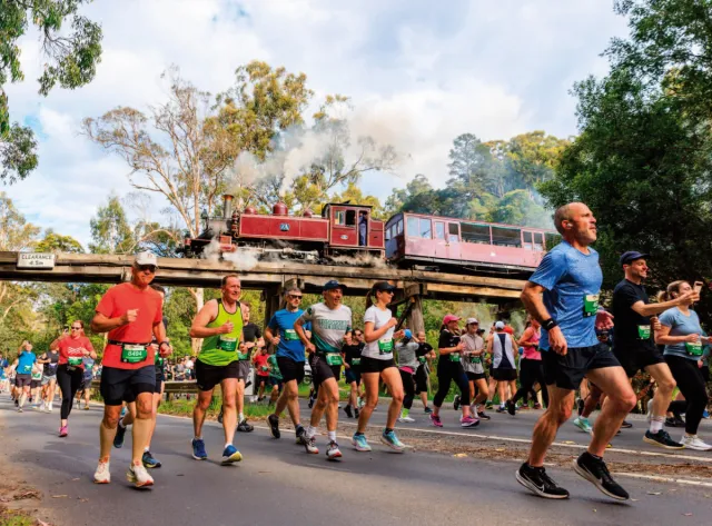 Runners racing the steam train at the Puffing Billy Running Festival in Belgrave