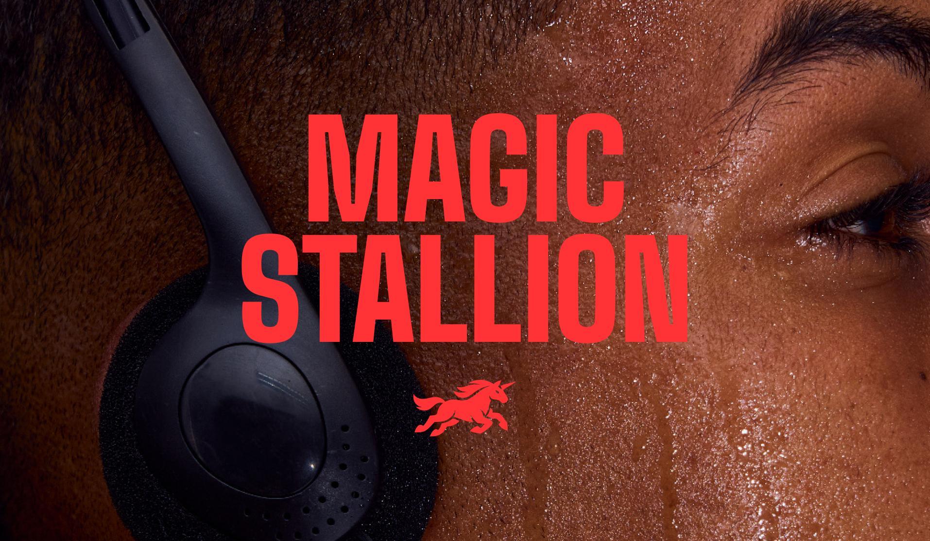 Magic Stallion Brand