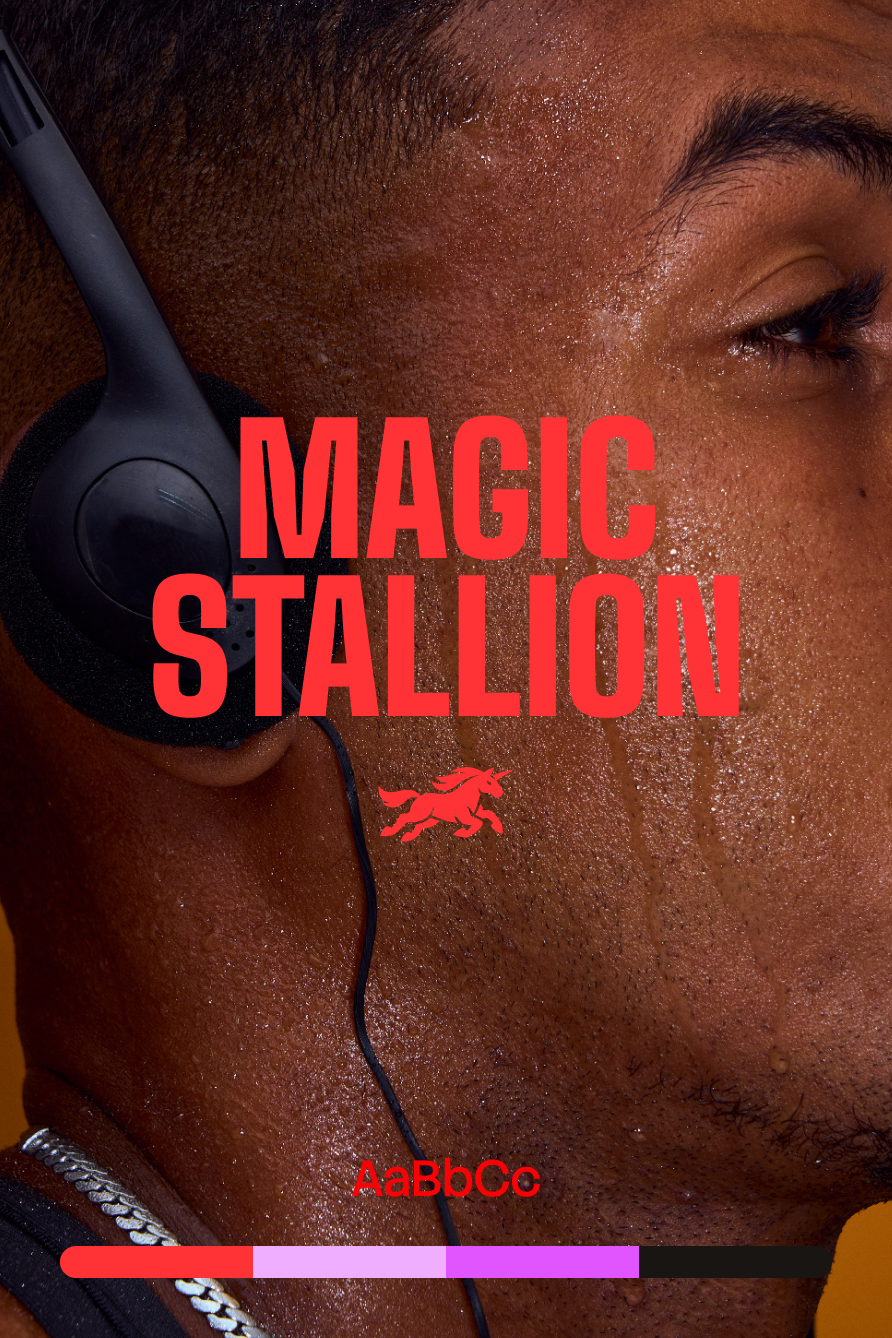 Magic Stallion Brand