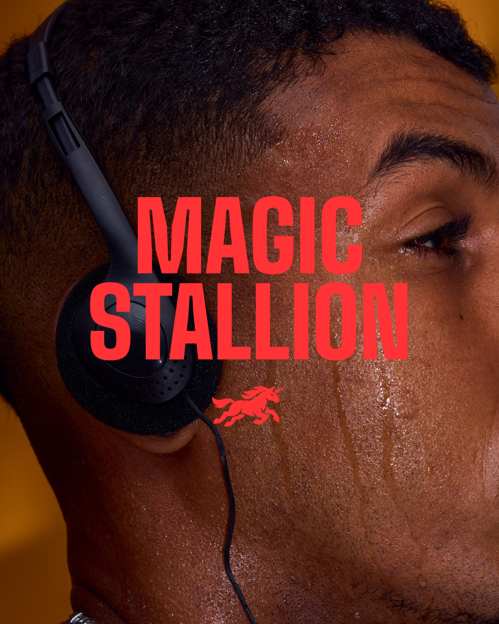 Magic Stallion