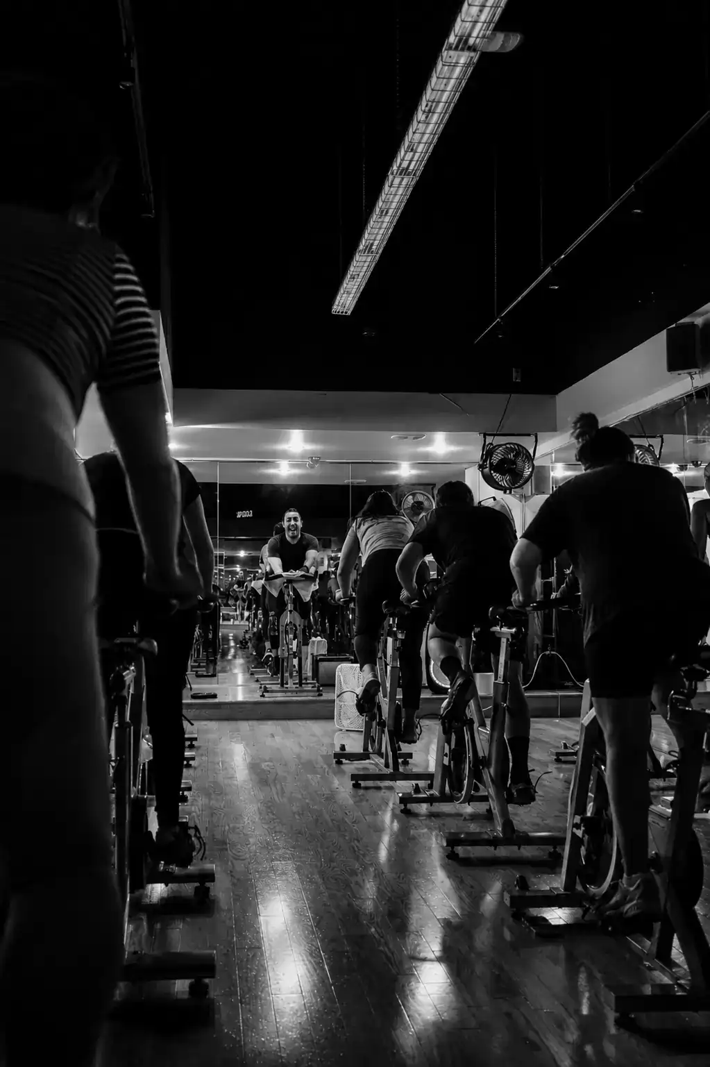 image of potential trainer candidate (for a gym)