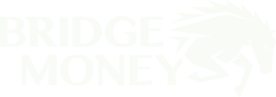 Bridge Money logo