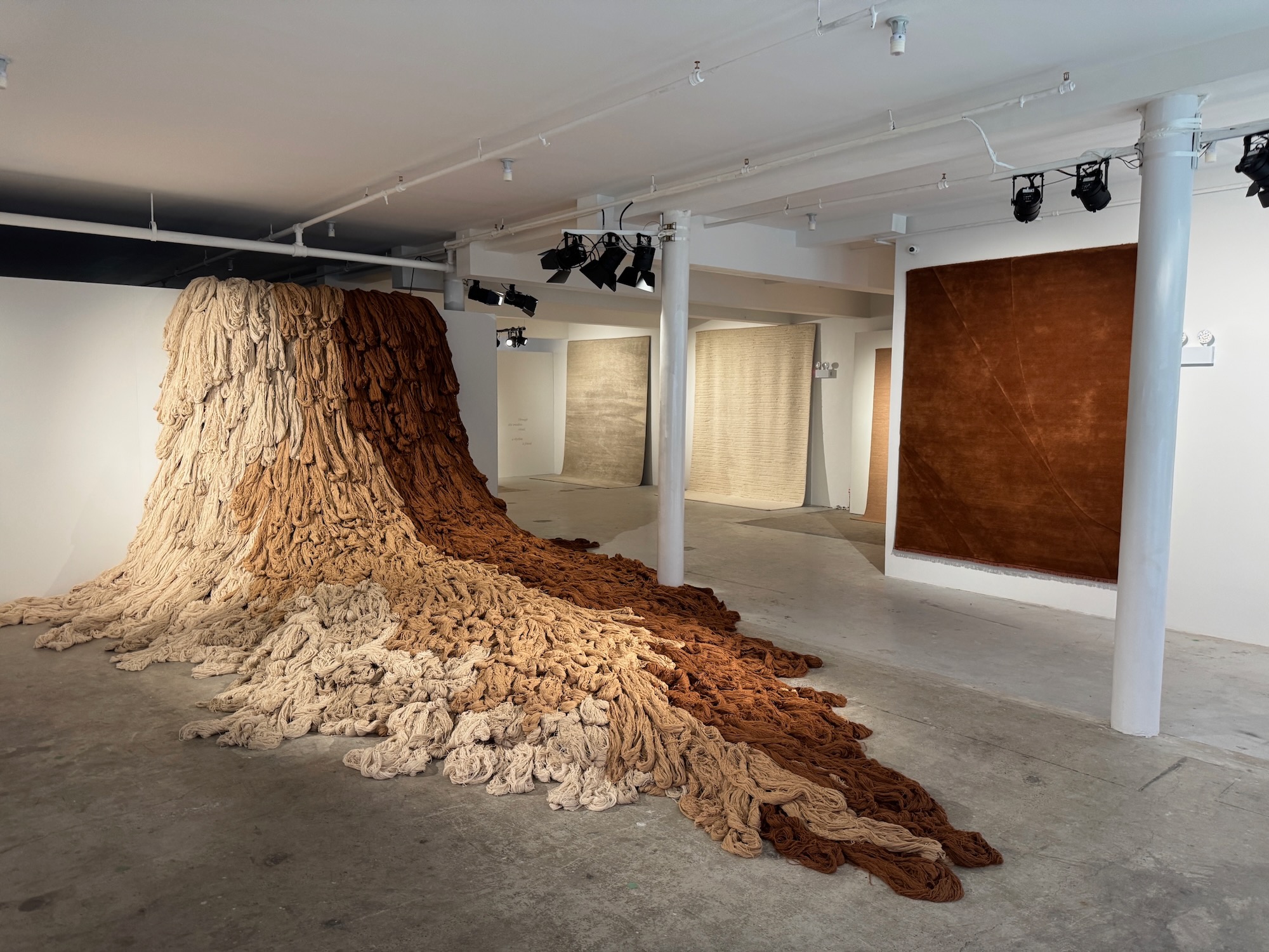 Armadillo gallery installation with Astera fixtures suspended to appear floating in space.