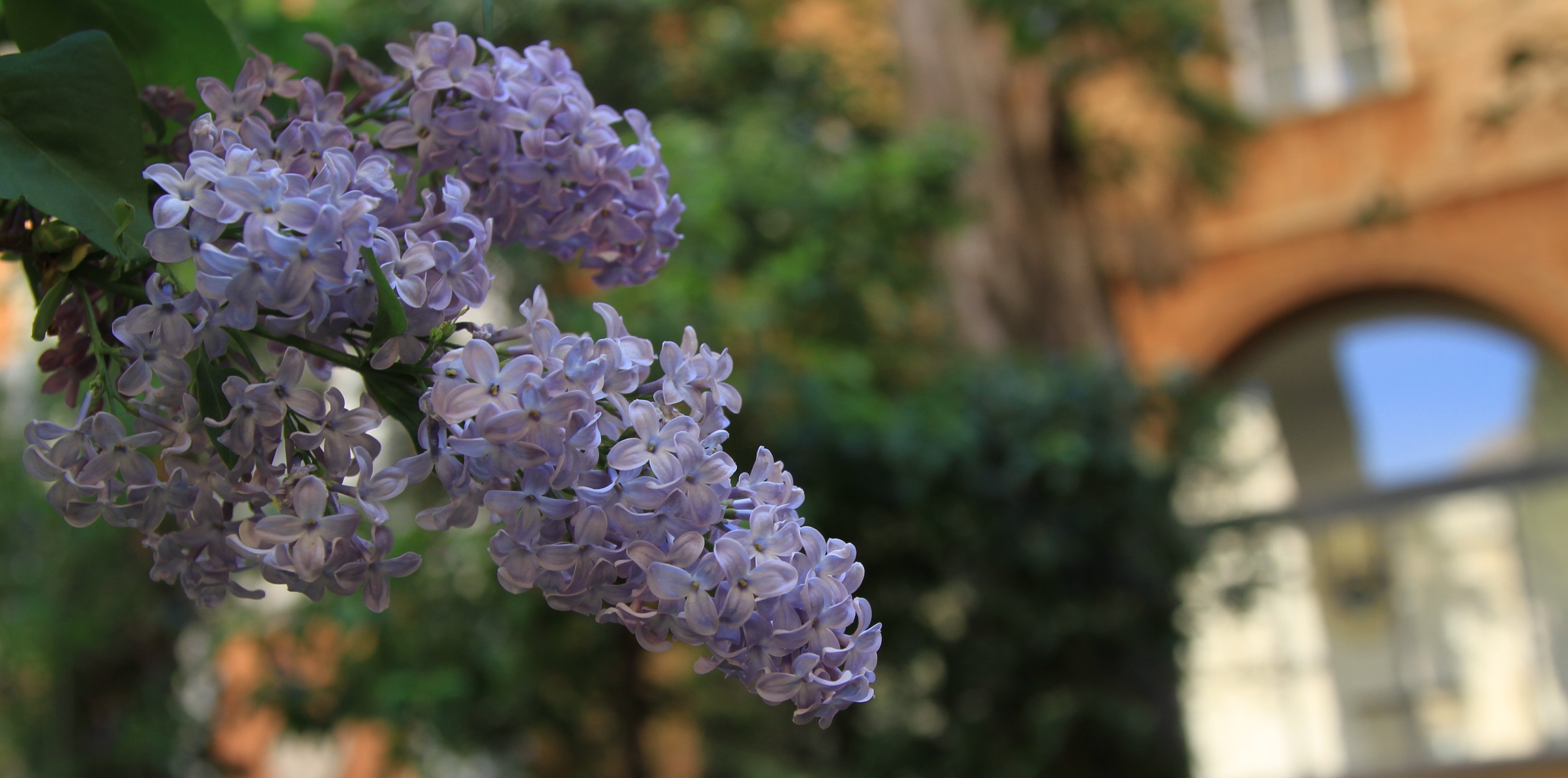 Blog Main Image