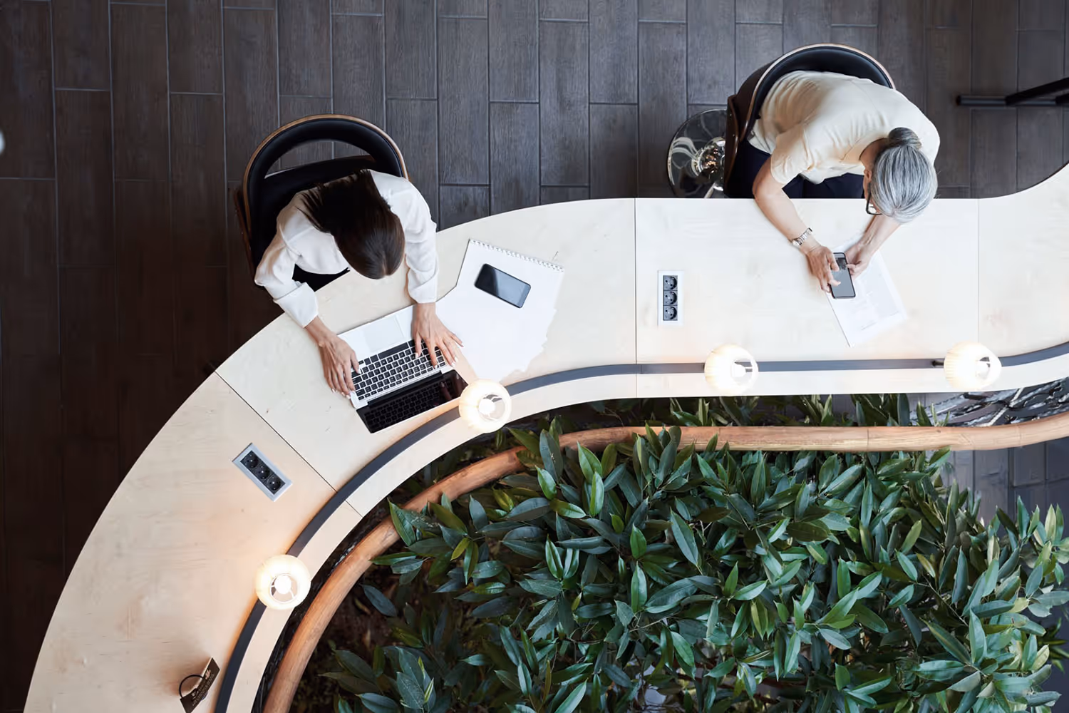 Two women working at a curved desk with laptops and phones in a modern office with plants.
