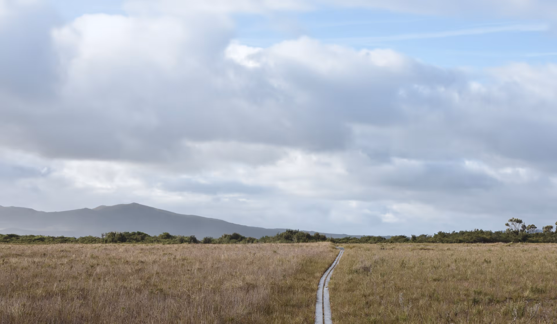 Wooden path stretches through a grassy field with distant mountains under a cloudy sky.