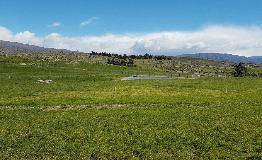 Rules for subdividing land