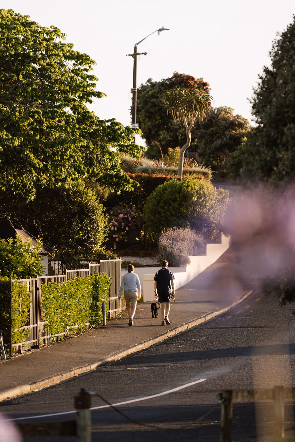 Couple walking a dog along a leafy St Heliers street near 5 Clarendon Road