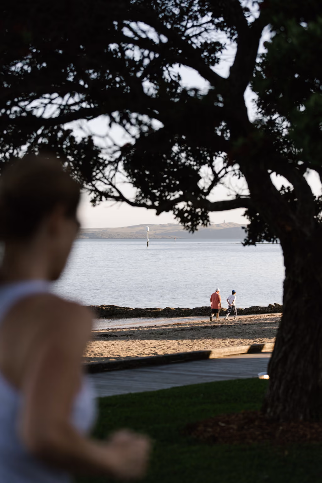 Tree-shaded view of St Heliers beach with walkers along the shoreline at dusk