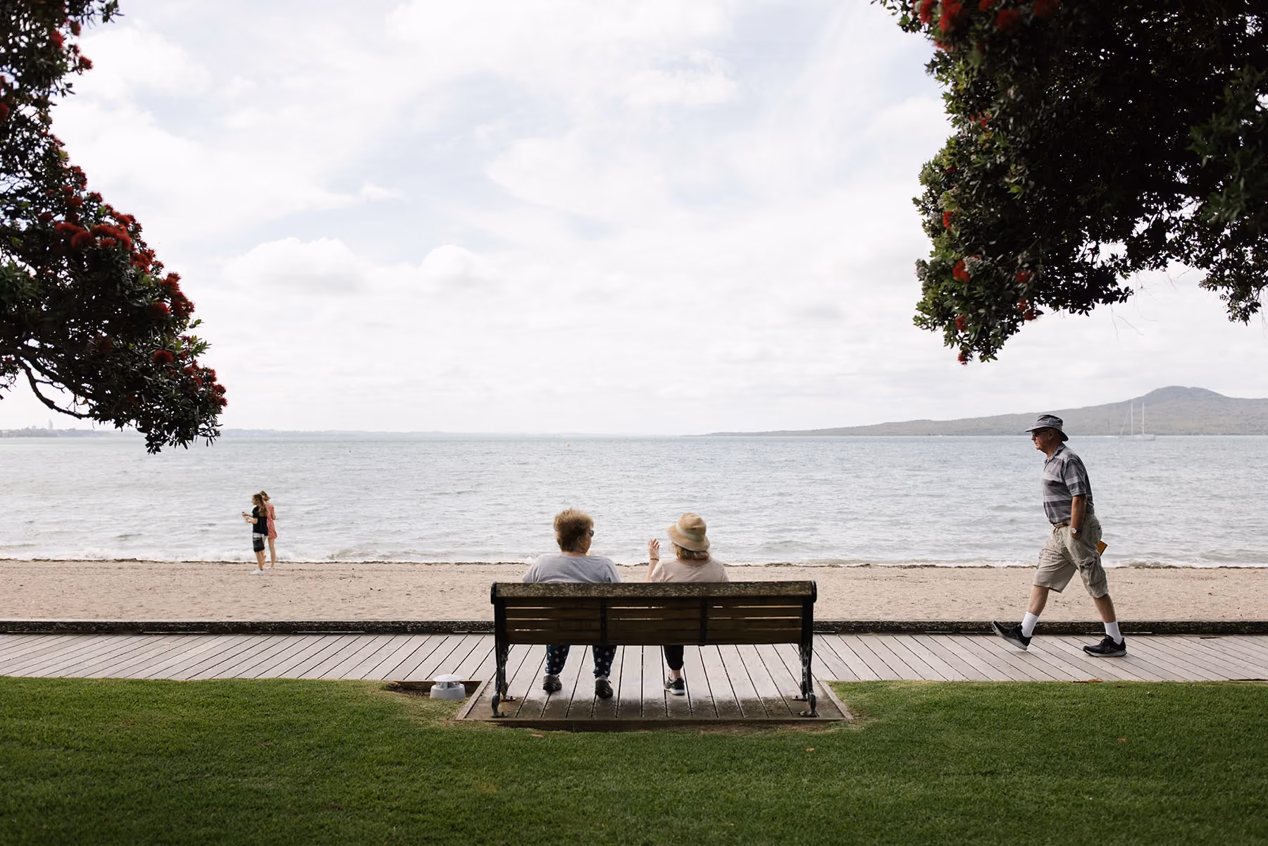 Pōhutukawa-framed view of St Heliers Bay beach and promenade with walkers and Rangitoto Island in the distance