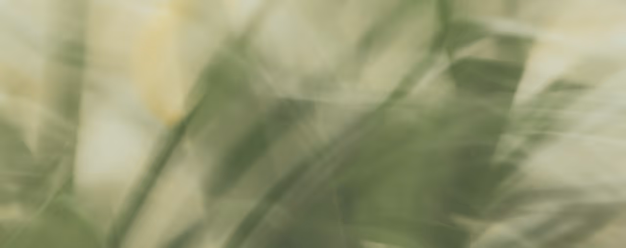 Abstract blurred green and beige shapes creating a soft, natural, leaf-like background.