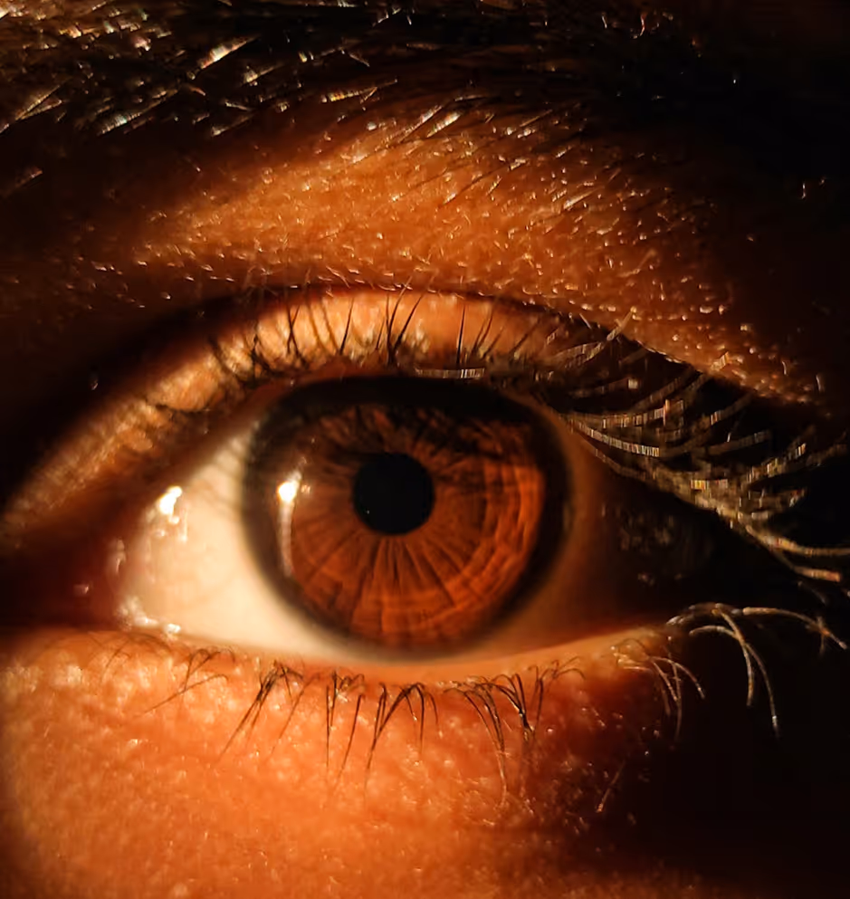 Close-up of a brown eye with a detailed iris.