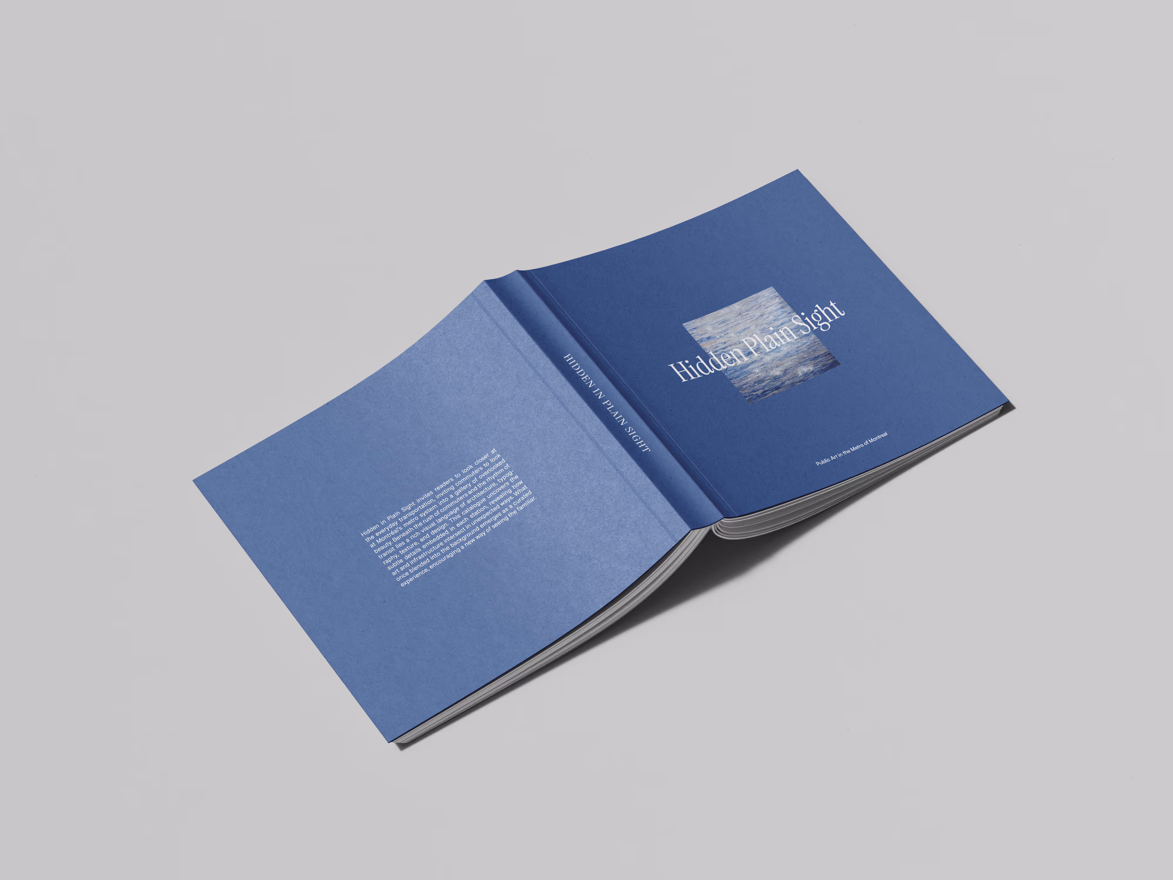 Open blue book titled Hidden Plain Sight with a square image on the cover and white text inside.