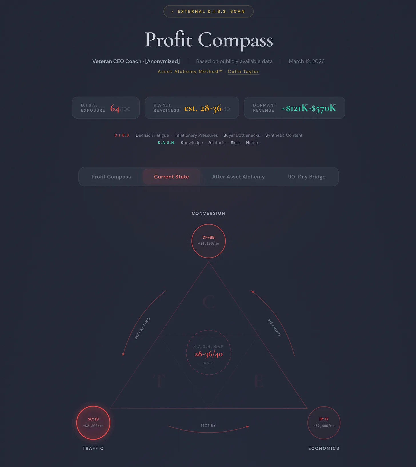 Profit Compass External D.I.B.S Scan on an anonymized CEO Coach showing expertise exists but documentation does not